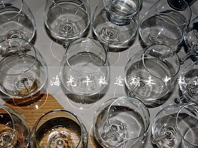 海光年报逾期未申报说明