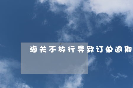 海关不放行导致订单逾期 海关不放行导致订单逾期