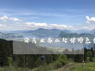 海关业务二处律师免费咨询