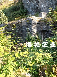 海关企业年报逾期6 海关企业年报逾期6