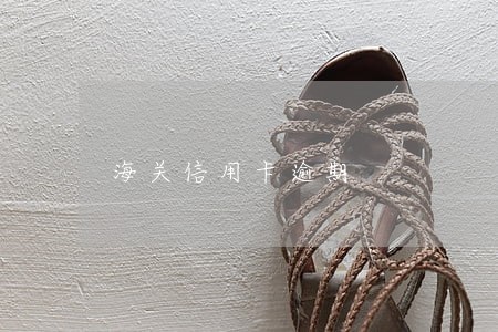 海关信用卡逾期
