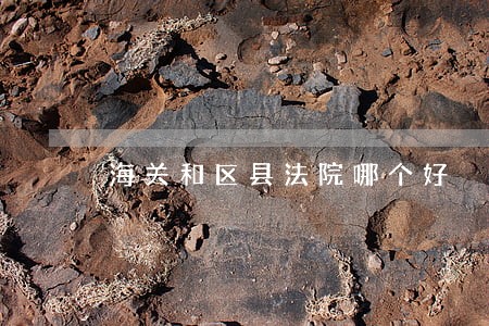 海关和区县法院哪个好 海关和区县法院哪个好