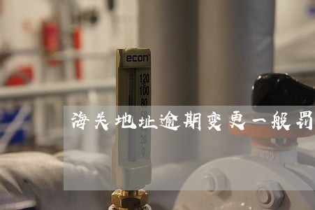 海关地址逾期变更一般罚款多少 海关地址逾期变更一般罚款多少