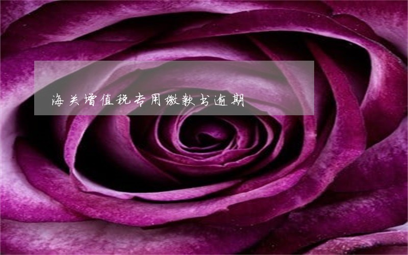 海关增值税专用缴款书逾期 海关增值税专用缴款书逾期