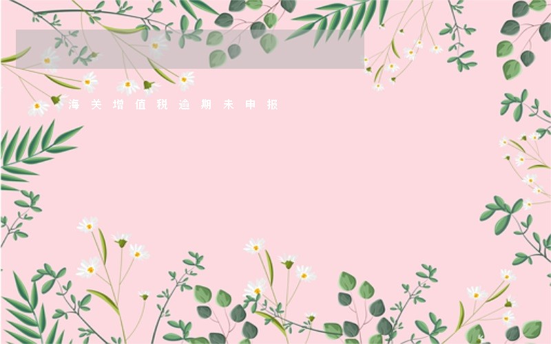 海关增值税逾期未申报 海关增值税逾期未申报