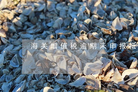 海关增值税逾期未申报抵扣吗 海关增值税逾期未申报抵扣吗