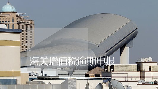 海关增值税逾期申报 海关增值税逾期申报