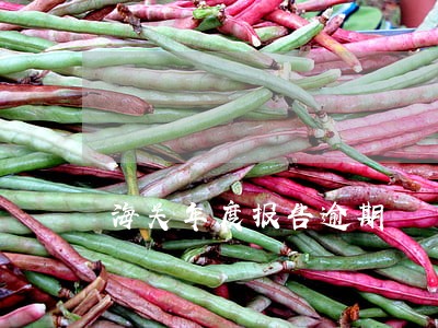 海关年度报告逾期