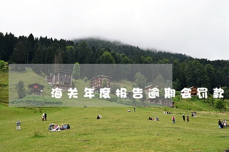 海关年度报告逾期会罚款吗 海关年度报告逾期会罚款吗