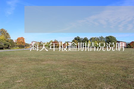 海关年报逾期情况说明 海关年报逾期情况说明