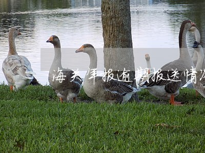 海关年报逾期报送情况说明