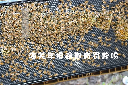 海关年报逾期有罚款吗 海关年报逾期有罚款吗