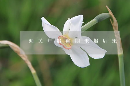 海关年报逾期未报后果 海关年报逾期未报后果