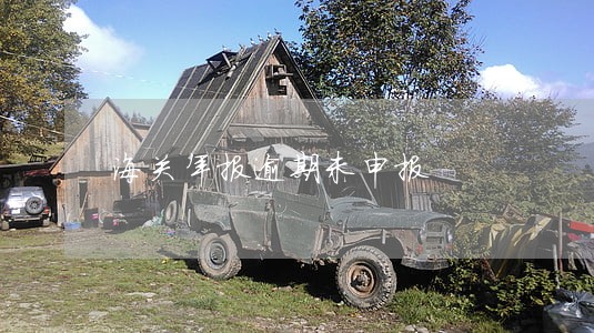 海关年报逾期未申报