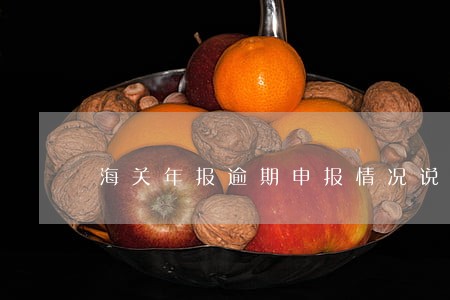 海关年报逾期申报情况说明