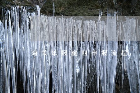 海关年报逾期申报流程 海关年报逾期申报流程
