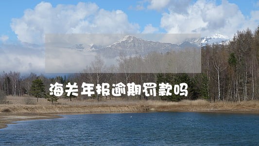 海关年报逾期罚款吗 海关年报逾期罚款吗