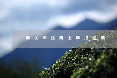 海关年检网上申报逾期 海关年检网上申报逾期