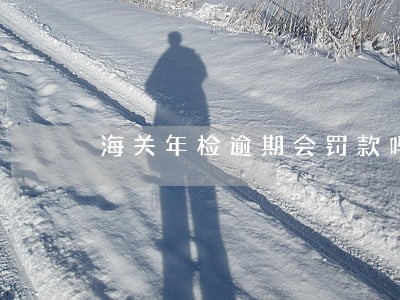 海关年检逾期会罚款吗 海关年检逾期会罚款吗