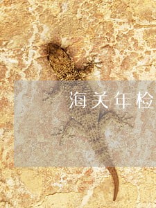 海关年检逾期的情况说明 海关年检逾期的情况说明