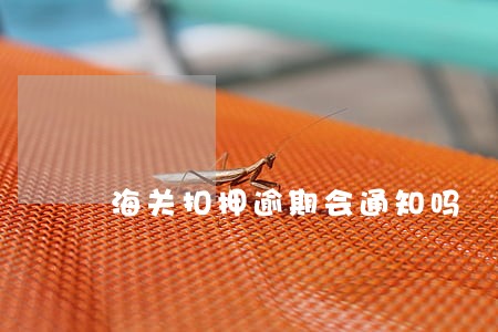 海关扣押逾期会通知吗