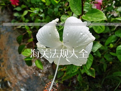 海关法规大全 海关法规大全