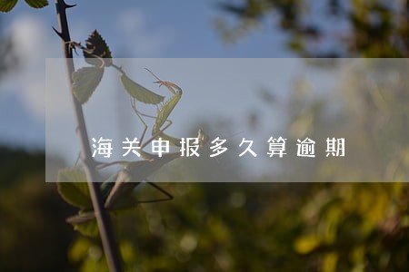 海关申报多久算逾期 海关申报多久算逾期