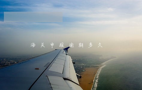 海关申报逾期多久