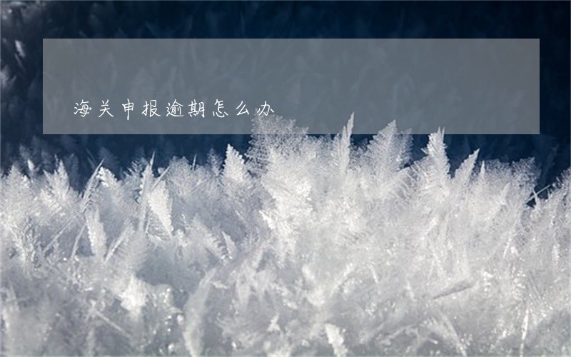 海关申报逾期怎么办 海关申报逾期怎么办