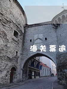 海关票逾期补救方法