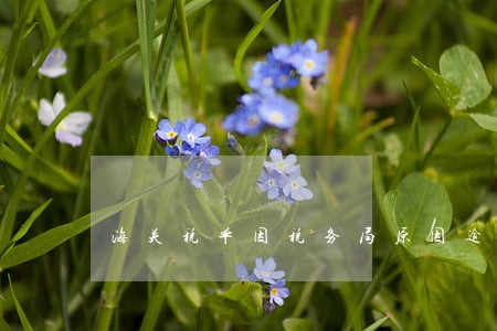 海关税单因税务局原因逾期