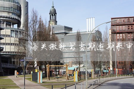 海关缴款书当期逾期未申报抵扣 海关缴款书当期逾期未申报抵扣