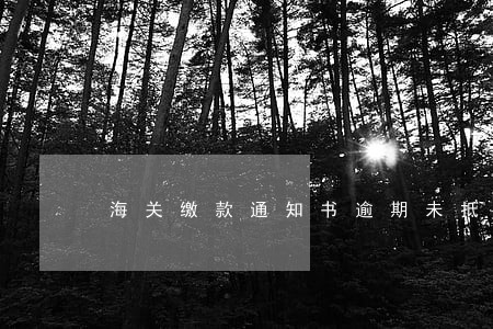 海关缴款通知书逾期未抵扣 海关缴款通知书逾期未抵扣