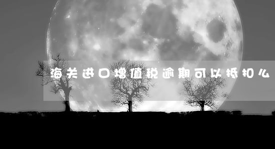 海关进口增值税逾期可以抵扣么 海关进口增值税逾期可以抵扣么