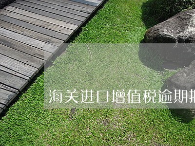 海关进口增值税逾期抵扣申请书 海关进口增值税逾期抵扣申请书