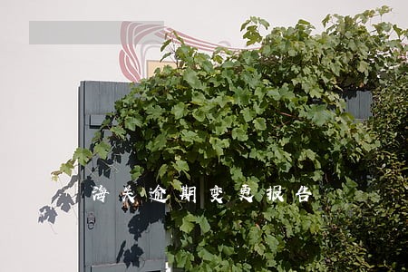 海关逾期变更报告 海关逾期变更报告