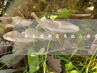 海关逾期变更法人情况说明 海关逾期变更法人情况说明