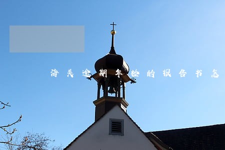 海关逾期年检的报告书怎么写