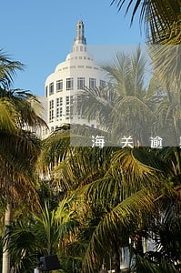 海关逾期报告怎么写