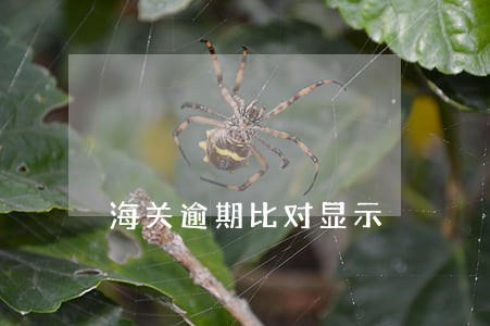 海关逾期比对显示 海关逾期比对显示