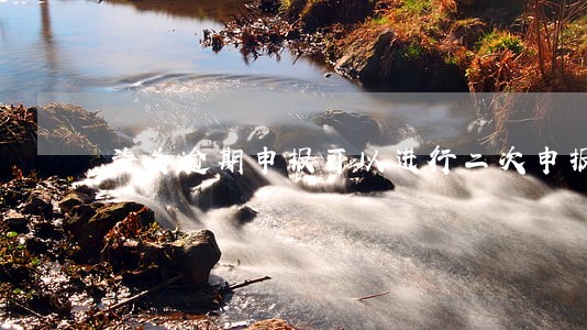 海关逾期申报可以进行二次申报吗 海关逾期申报可以进行二次申报吗