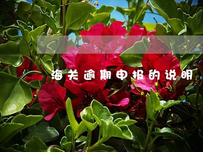 海关逾期申报的说明 海关逾期申报的说明