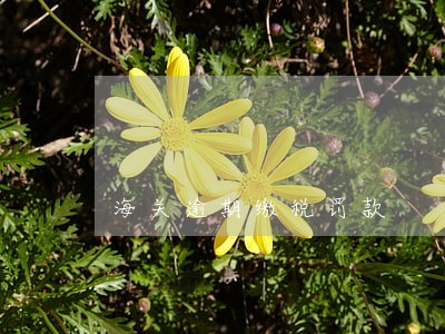 海关逾期缴税罚款 海关逾期缴税罚款