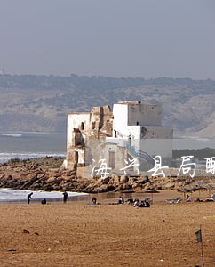 海兴县局酬谢三千元寻找边牧