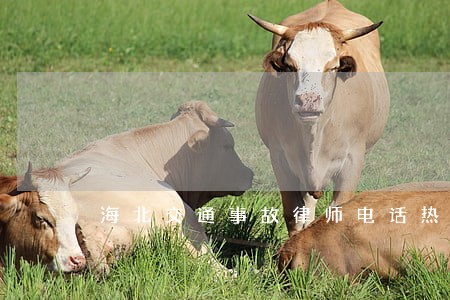 海北交通事故律师电话热线 海北交通事故律师电话热线
