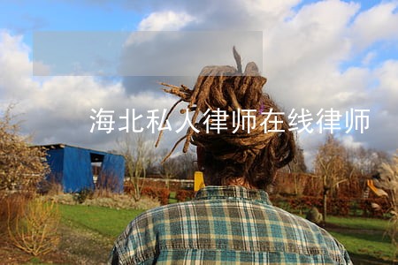 海北私人律师在线律师 海北私人律师在线律师