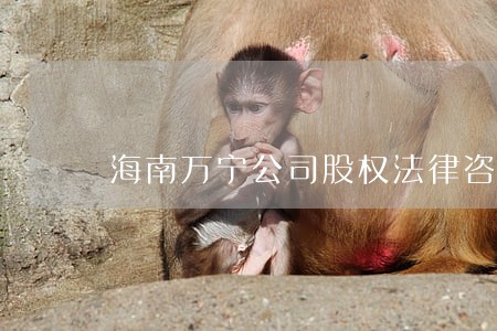 海南万宁公司股权法律咨询 海南万宁公司股权法律咨询