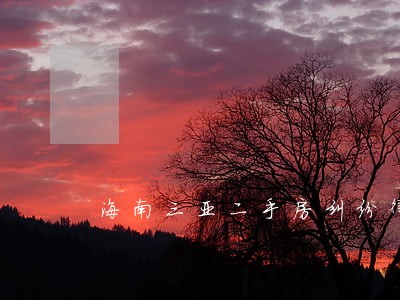 海南三亚二手房纠纷律师代理费 海南三亚二手房纠纷律师代理费