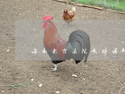 海南东方法院成功调解