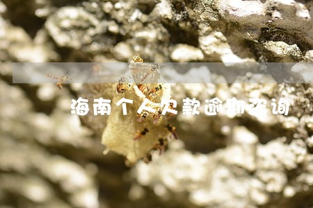 海南个人欠款逾期咨询 海南个人欠款逾期咨询
